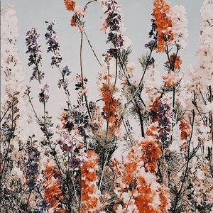 Meet your Posher, Carley